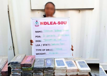 Female Kingpin Arrested After 20-Month Manhunt; ₦5 Billion Worth of Cocaine Found in Children’s Room