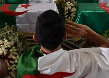 Algeria Declares French Colonisation a Crime, Demands Apology and Reparations