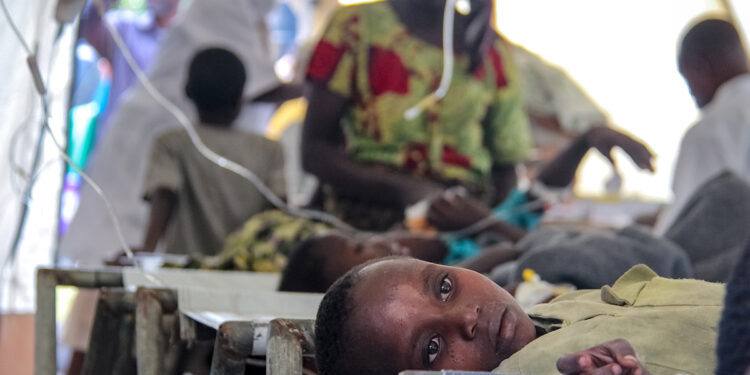 DR Congo Battles Worst Cholera Outbreak in 25 Years, UNICEF Reports