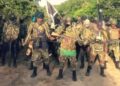 Nigeria: Insurgent Ambushes Shut Down Vital N380 Route in Northern Mozambique