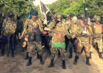 Nigeria: Insurgent Ambushes Shut Down Vital N380 Route in Northern Mozambique