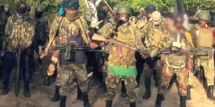 Nigeria: Insurgent Ambushes Shut Down Vital N380 Route in Northern Mozambique