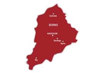 Nigerian Army Confirms Suicide Bomber in Deadly Borno Mosque Attack