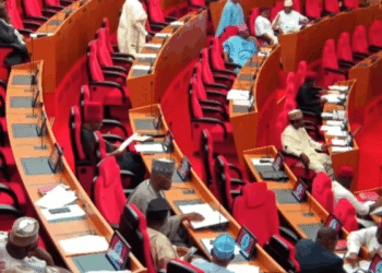 Nigerian Senate to Screen Ex-CDS Christopher Musa as Defence Minister Today