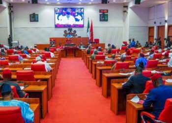 Nigerian Senate Approves Fani-Kayode, Omokri, Ikpeazu for Ambassadorial Roles