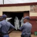 Eleven Arrested in South Africa Tavern Shooting, Police Suspect Illegal Mining War