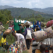 DR Congo Violence Forces Refugees Into Dire Conditions in Burundi