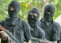 Nigeria: Gunmen Abduct Retired Customs Officer, Kill Village Chief in Osun Border Attack