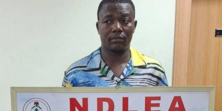 Nigeria: Convicted Drug Trafficker Arrested Again for Smuggling Cocaine at Lagos Airport