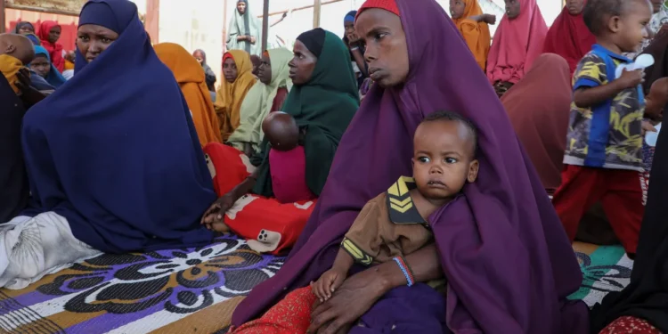 US Halts Aid to Somalia Amid Allegations of Food Theft by Officials