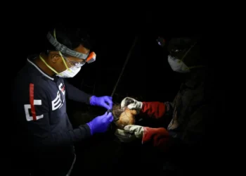 WHO Confirms Two Cases as Deadly Nipah Virus Hits Eastern India