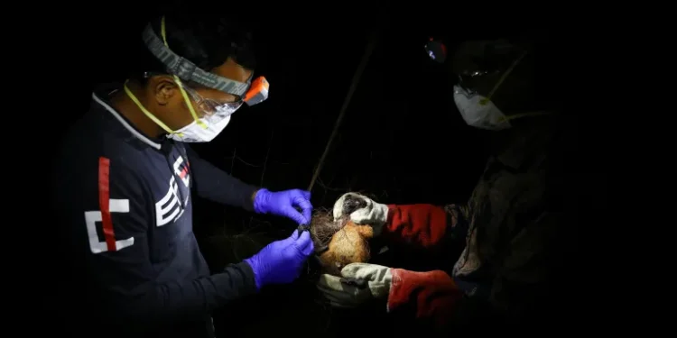 WHO Confirms Two Cases as Deadly Nipah Virus Hits Eastern India