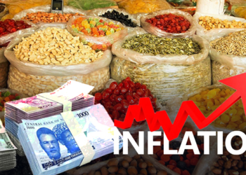Nigeria’s Statistics Bureau to Release Two Inflation Figures to Clarify ‘Artificial’ Spike