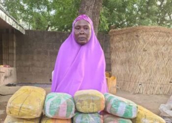 Nigeria: Boko Haram ‘Cannabis Supplier’ Arrested in Borno