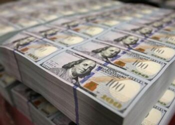 Nigeria’s FX Reserves Hit 8-Year High of $46bn