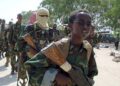 Somali Forces Eliminate 29 Al-Shabaab Militants in Coordinated Airstrikes