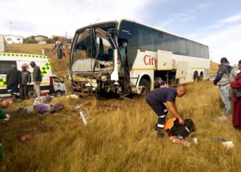 Tragic Minibus Crash in South Africa Claims 11 Young Lives