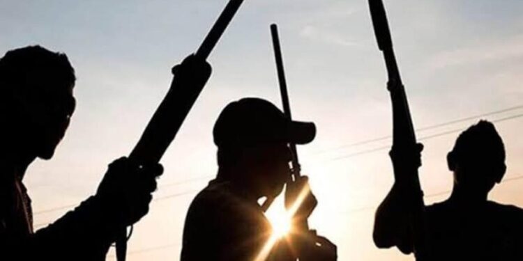 Nigeria: Soldier and Civilian Killed as Terrorists Raid Kano Community, Steal Cattle