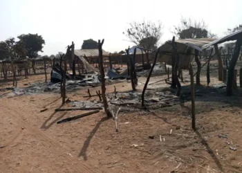 Nigeria: Bandits Kill Over 30, Abduct Many in Niger State Market Attack