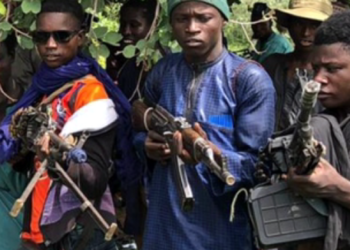 Nigeria: Bandits Kill 7, Abduct Others in Sokoto, IED Explosion Injures 5 in Zamfara