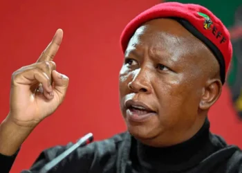 South Africa’s Malema Awaits Sentence Amidst Supporter Backlash