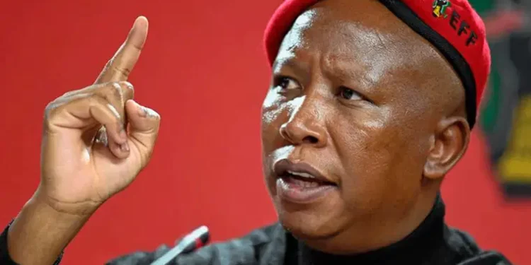 South Africa’s Malema Awaits Sentence Amidst Supporter Backlash