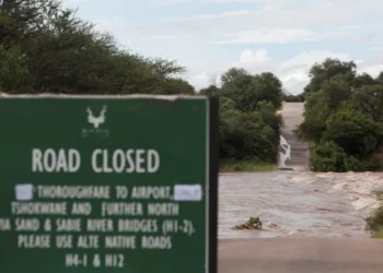 Kruger National Park Shuts Down as Deadly Floods Strike South Africa