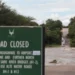 Kruger National Park Shuts Down as Deadly Floods Strike South Africa