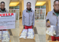 Nigeria: NDLEA Arrests Lagos Businessman with 95 Cocaine Wraps at Kano Airport