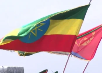 Ethiopia Calls on Eritrea to Withdraw Troops Amid Rising Tensions