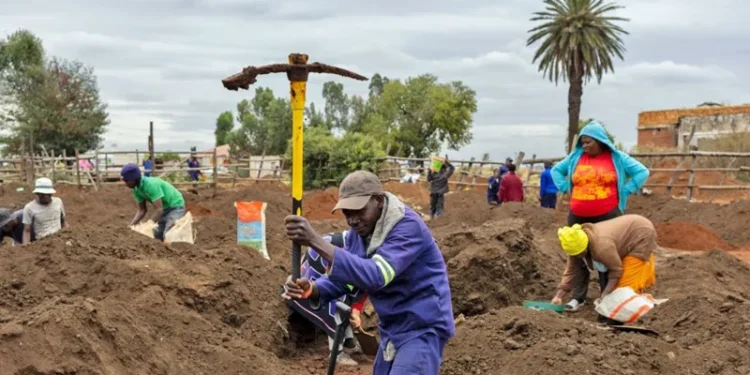 Gold Rush Hits South Africa After Lucky Find in Cattle Pen