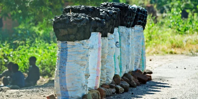 Fake Funeral Scandal Rocks Malawi as Charcoal Smugglers Caught