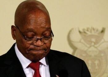 Zuma Named in Epstein files over London Dinner Plan