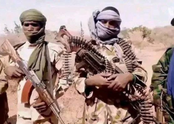 NIGERIA: 13 People Killed in Fresh Gunmen Attack in Benue State