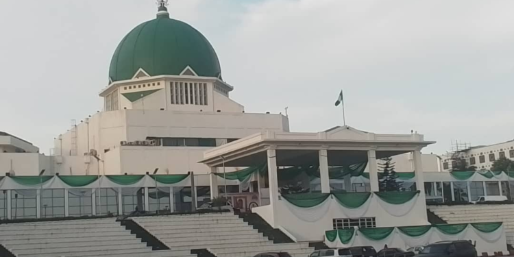 National Assembly Reconvenes Tuesday to Review 2027 Presidential Election Date