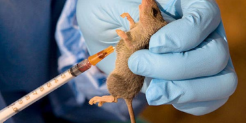 NIGERIA: Lassa Fever Death Toll Rises to 10 in Benue State