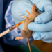 NIGERIA: Lassa Fever Death Toll Rises to 10 in Benue State