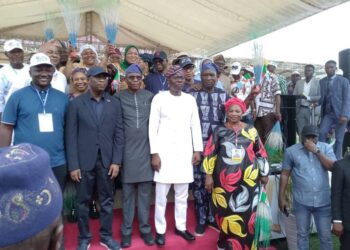 Nigeria: Ojelabi Re-elected Lagos APC Chairman