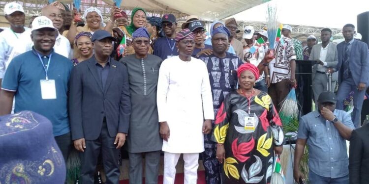 Nigeria: Ojelabi Re-elected Lagos APC Chairman