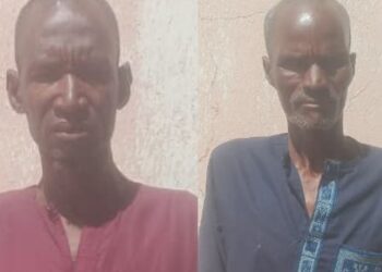 Nigerian Troops Arrest Two Alleged Boko Haram Collaborators in Borno