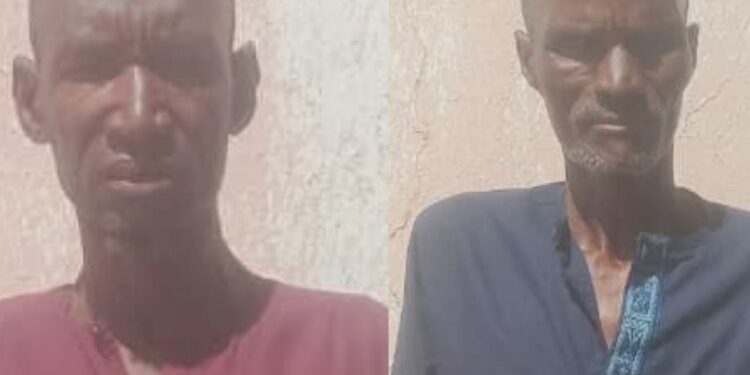 Nigerian Troops Arrest Two Alleged Boko Haram Collaborators in Borno