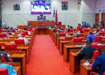 Nigerian Senate Approves Tinubu’s $6 Billion External Loan Request Amid Rising Public Debt