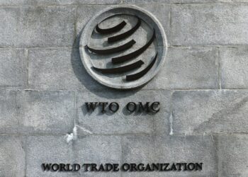 WTO Reform Talks in Cameroon: A Make-or-Break Moment for Global Trade