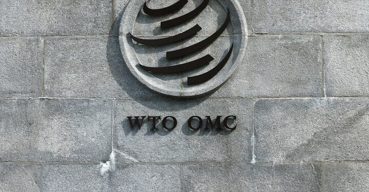 WTO Reform Talks in Cameroon: A Make-or-Break Moment for Global Trade