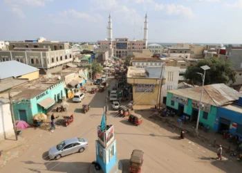 Somali Army Seizes Key City, Regional Leader Steps Down