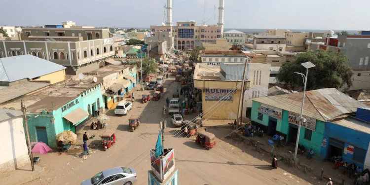 Somali Army Seizes Key City, Regional Leader Steps Down