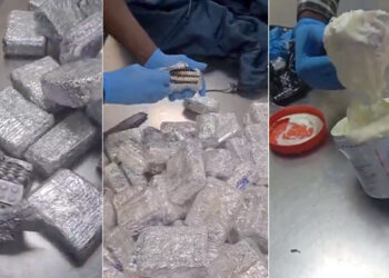 NDLEA Foils Drug Trafficking Attempts, Seizes Opioids Hidden in Cream and Jackets at Lagos Airport