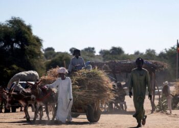 Chad Relocates Sudan Refugees Amidst Rising Border Tensions