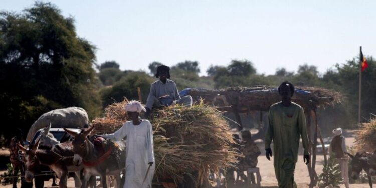 Chad Relocates Sudan Refugees Amidst Rising Border Tensions