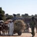 Chad Relocates Sudan Refugees Amidst Rising Border Tensions